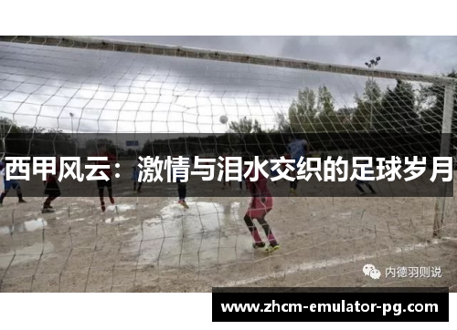 西甲风云：激情与泪水交织的足球岁月