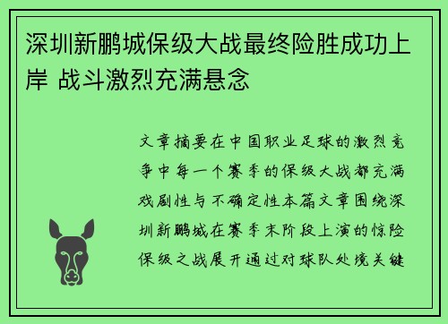 深圳新鹏城保级大战最终险胜成功上岸 战斗激烈充满悬念 深圳新鹏城保级大战最终险胜成功上岸 战斗激烈充满悬念