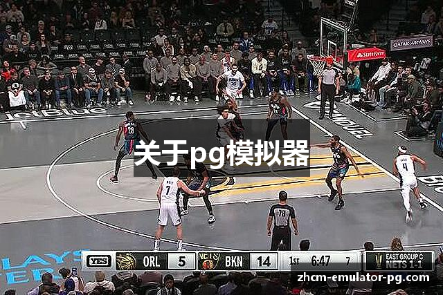 关于pg模拟器